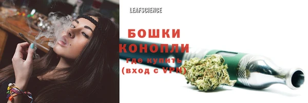 индика Новочеркасск