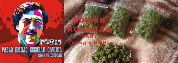 индика Волгодонск