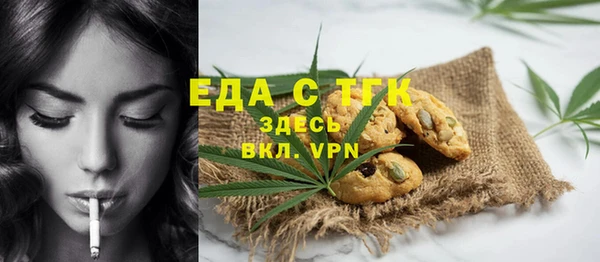 индика Новочеркасск