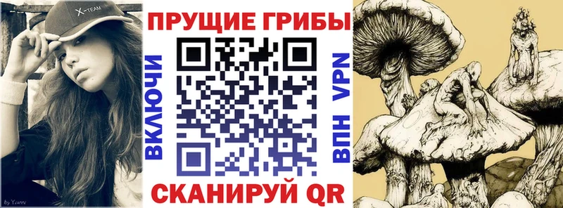 Купить  Калтан  Псилоцибиновые грибы мухоморы 